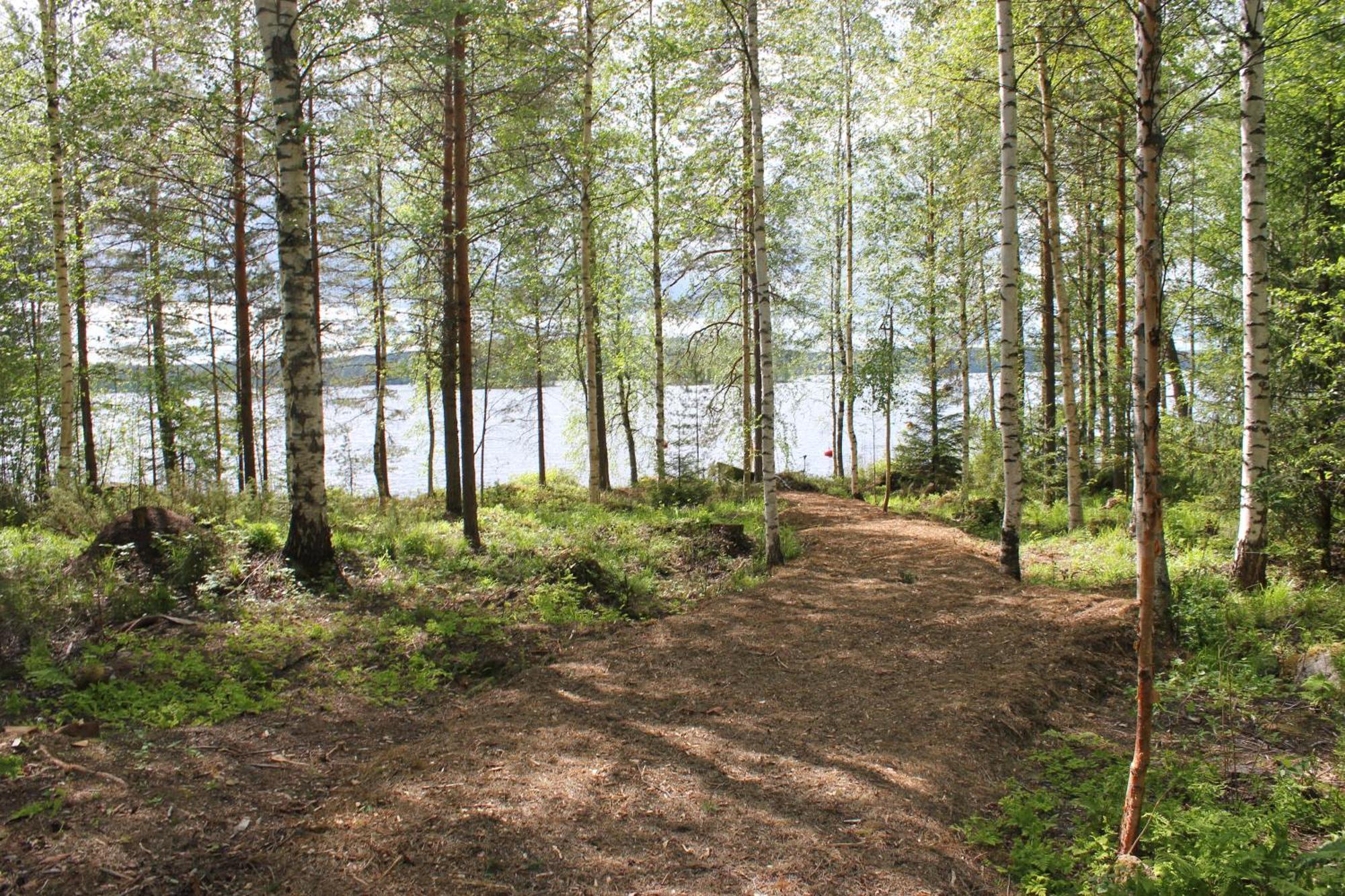 Äänekoski Accommodation And Fishing Vonkale חדר תמונה