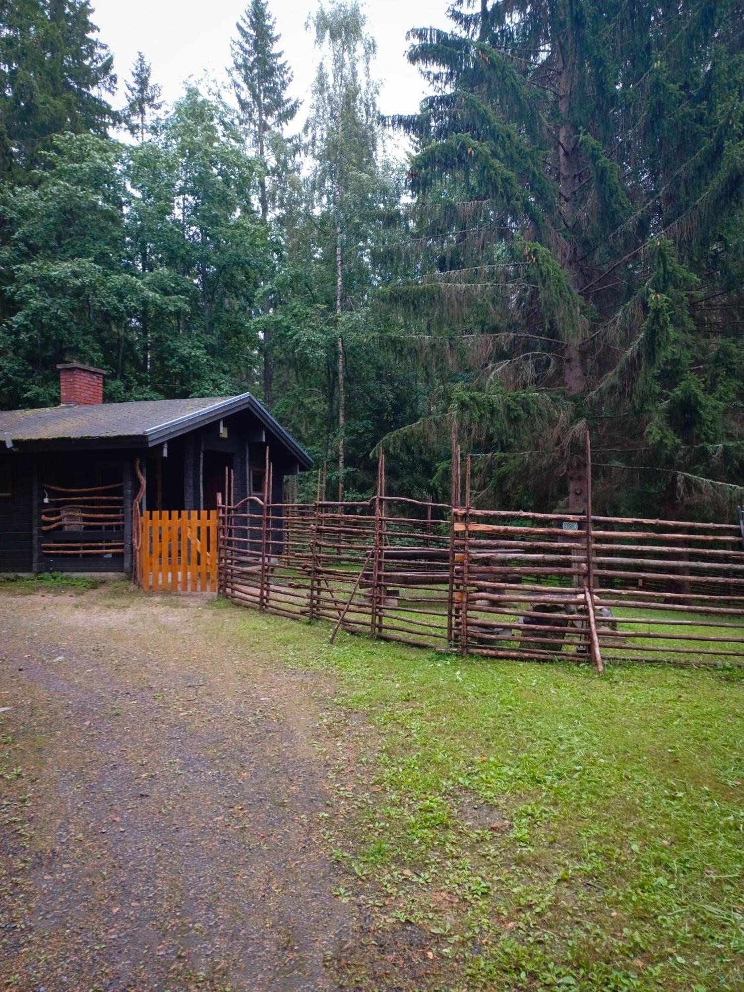 Äänekoski Accommodation And Fishing Vonkale מראה חיצוני תמונה
